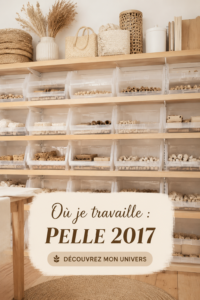 Vue inspirante de l'espace de travail PELLE 2017, bureau chaleureux et accueillant.