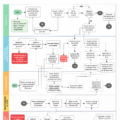 Carte des processus d'entreprise illustrée pour montrer un schéma structuré.